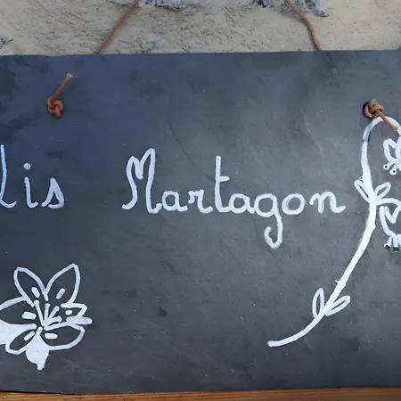 Lis Martagon 丰罗穆