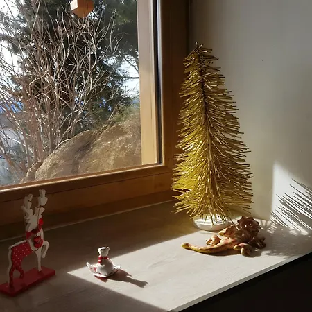 Lis Martagon * 丰罗穆